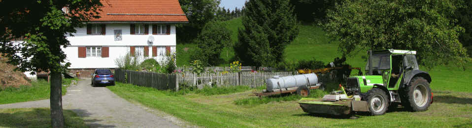 Ruine Langegg