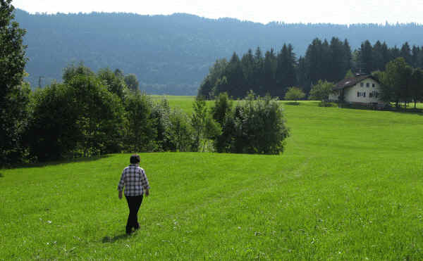 Ruine Langegg