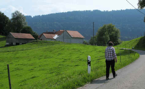 Ruine Langegg