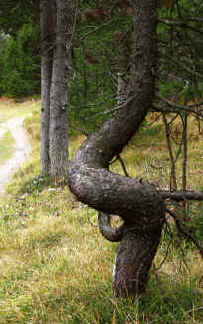Plansee Umrundung