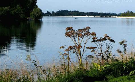 Premer Lechsee Südufer