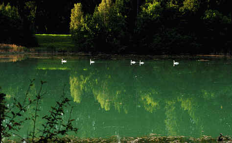 Premer Lechsee Südufer