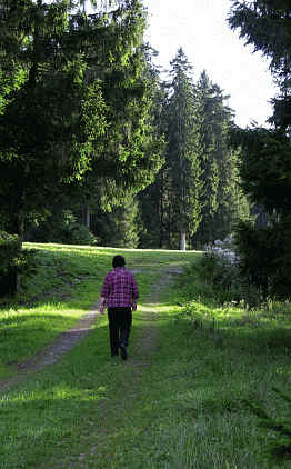 Premer Lechsee Südufer