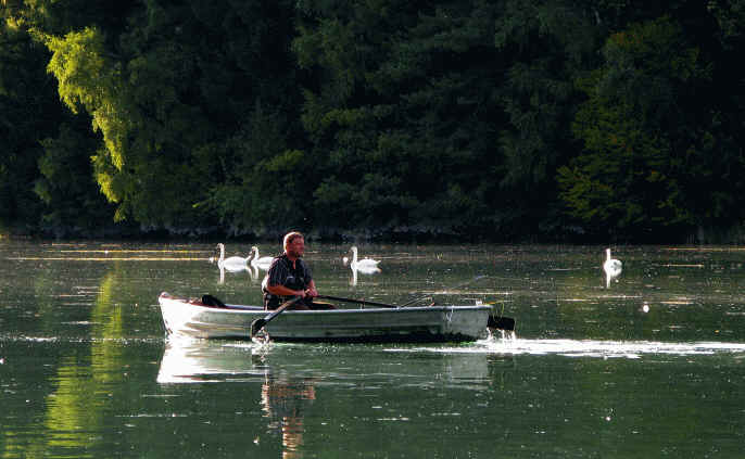 Premer Lechsee Südufer