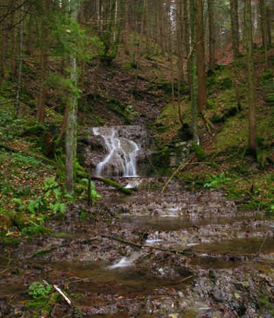 Premer Lechsee Südufer