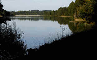 Premer Lechsee Südufer