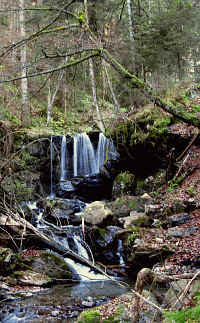 Reichenbachtobel