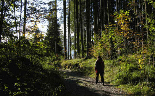 Schmutterweiher und Sammeister