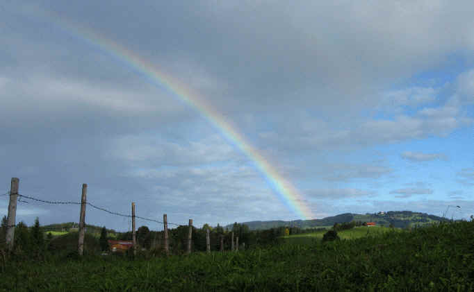 Schmutterweiher und Sammeister