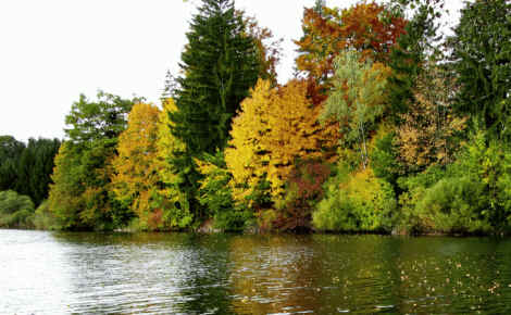 Schmutterweiher und Sammeister