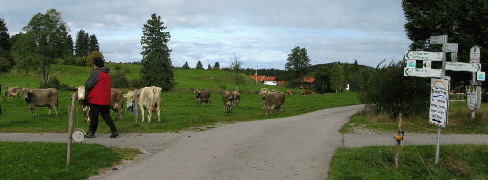 Schmutterweiher und Sammeister