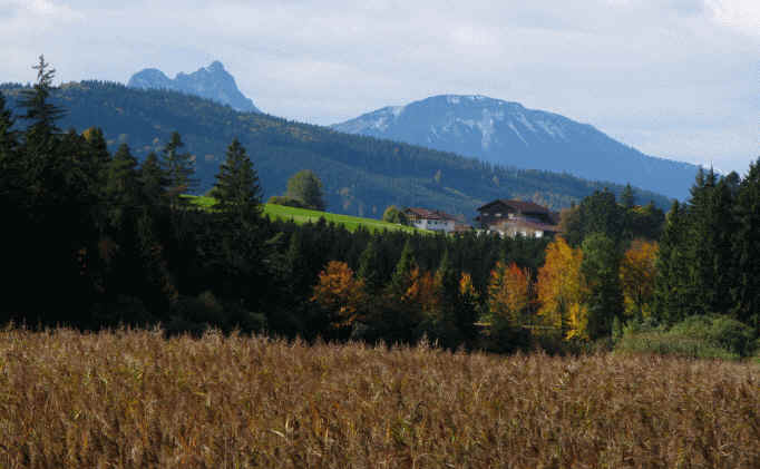 Schmutterweiher und Sammeister