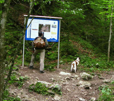 Die Schleifmühlenklamm bei Unterammergau