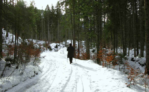 Schaufestung Schloßkopf im Winter