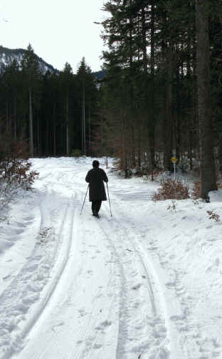 Schaufestung Schloßkopf im Winter