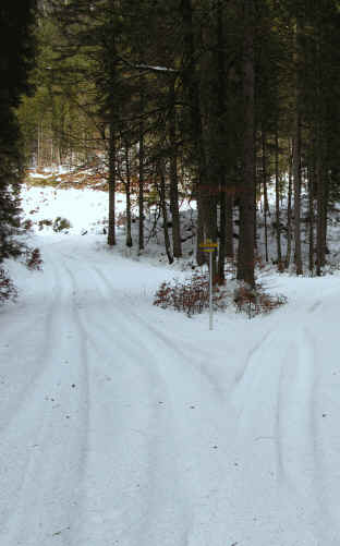 Schaufestung Schloßkopf im Winter