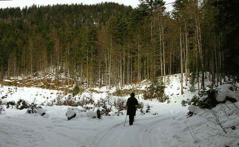 Schaufestung Schloßkopf im Winter