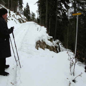 Schaufestung Schloßkopf im Winter