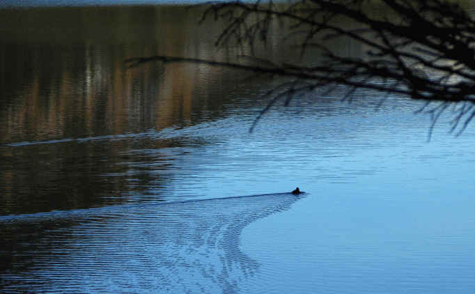 Vilsalpsee Umrundung