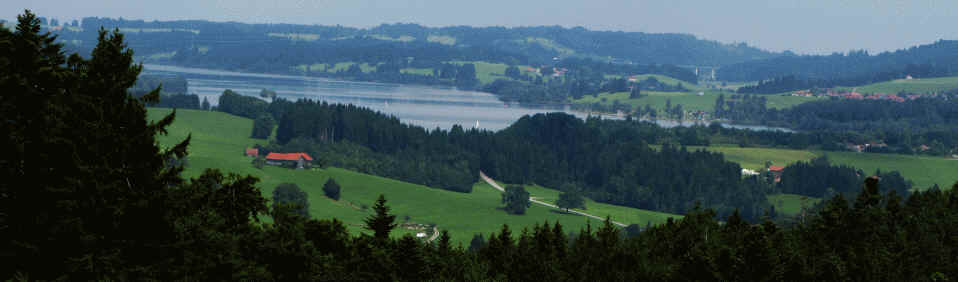 Burgruine Vorderburg