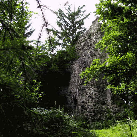 Burgruine Vorderburg