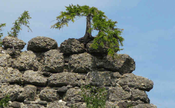 Burgruine Vorderburg