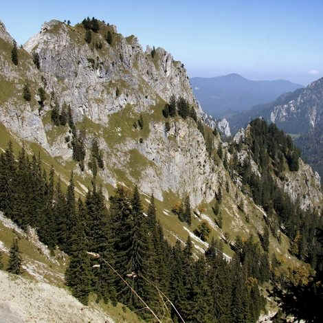 Ahorn Reitweg