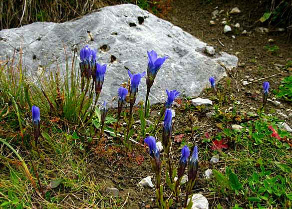 Hahntenjoch - Anhalterhütte