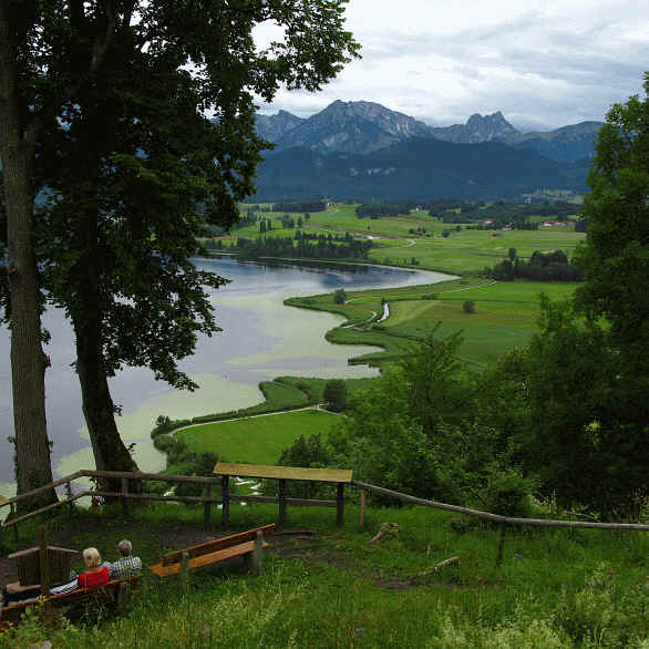 Burgruine Hopfen