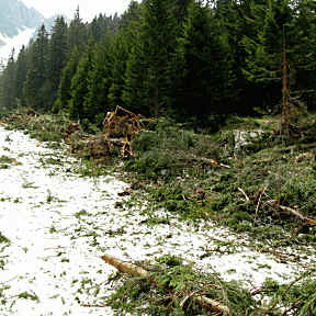 Panoramaweg im Eidra Pfronten