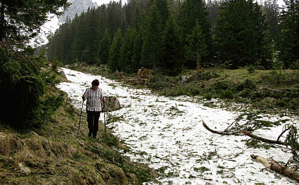 Panoramaweg im Eidra Pfronten