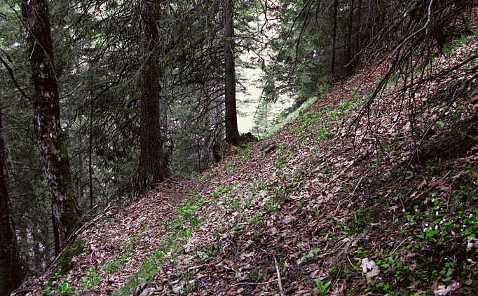 Panoramaweg im Eidra Pfronten