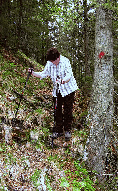 Panoramaweg im Eidra Pfronten