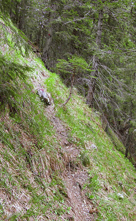 Panoramaweg im Eidra Pfronten