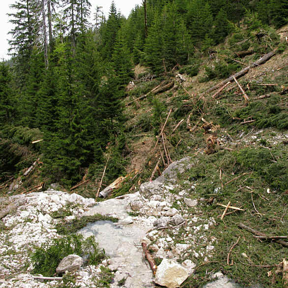 Panoramaweg im Eidra Pfronten