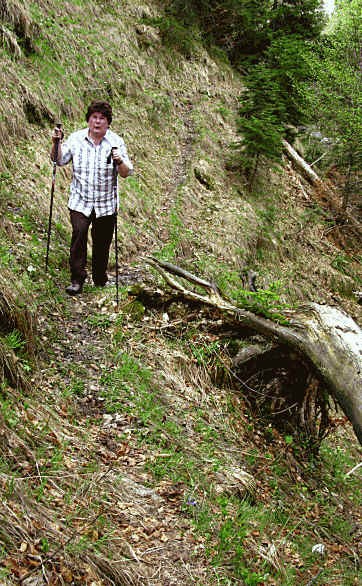 Panoramaweg im Eidra Pfronten