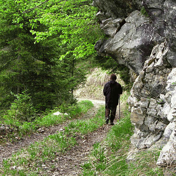 Panoramaweg im Eidra Pfronten