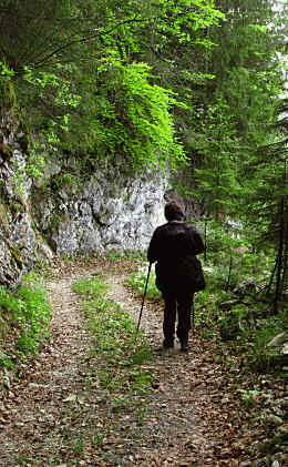 Panoramaweg im Eidra Pfronten