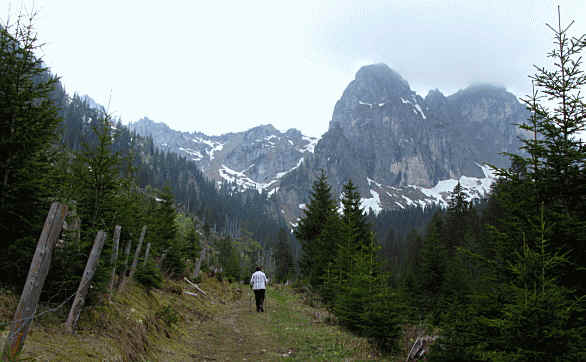 Panoramaweg im Eidra Pfronten