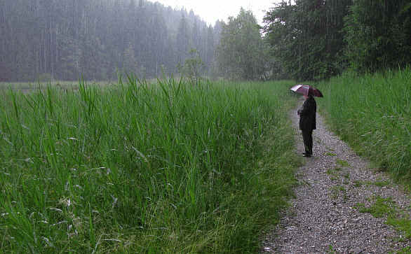 Faulensee Rieden