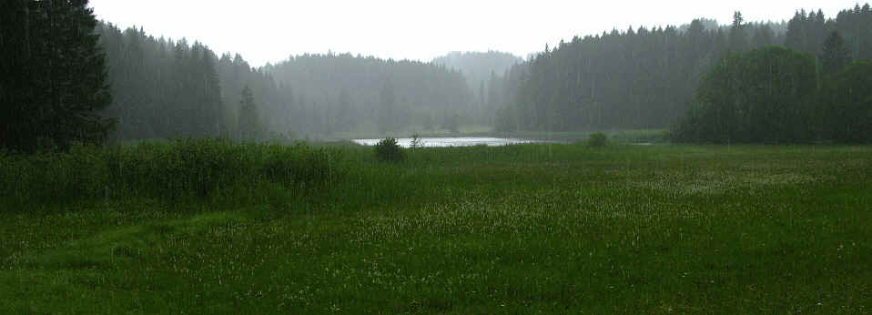 Faulensee Rieden