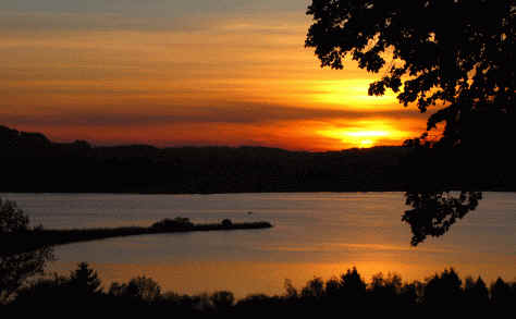 Hopfen am See