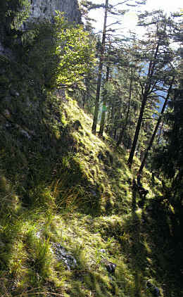 Schluxen - Galmeikopf - Dreiländereck