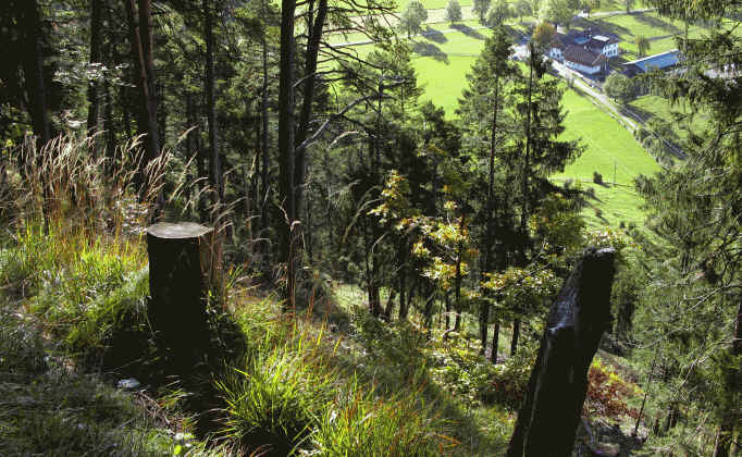 Schluxen - Galmeikopf - Dreiländereck