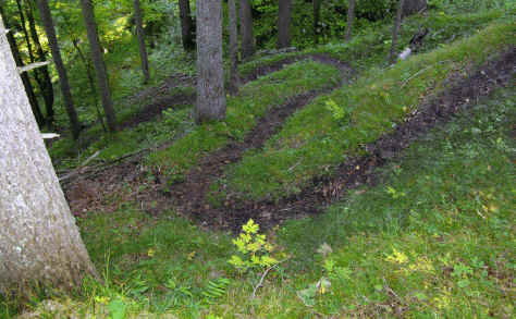 Schluxen - Galmeikopf - Dreiländereck