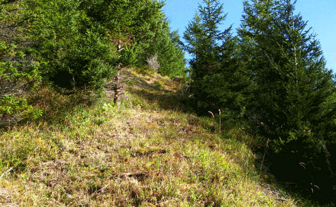 Schluxen - Galmeikopf - Dreiländereck