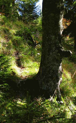 Schluxen - Galmeikopf - Dreiländereck