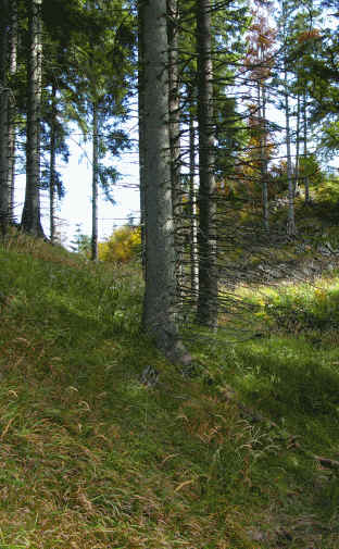 Schluxen - Galmeikopf - Dreiländereck