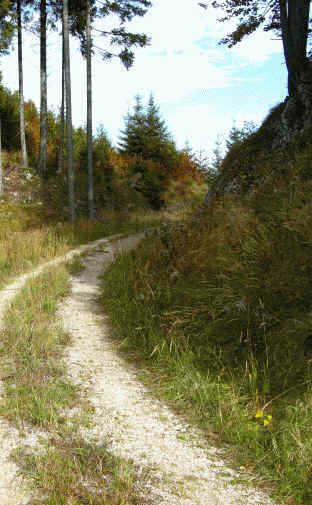 Schluxen - Galmeikopf - Dreiländereck