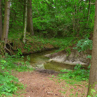 Gaudenzio Weiher